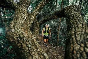 BIB: 
                            <button type="button" onclick="openModal(25392640)" class="btn btn-primary btn-sm float-right btn-popup" data-toggle="modal" data-target=".modal-high-quality">
                        <i class="fas fa-shopping-cart"></i> Add to Cart
                    </button>
                                            <button type="button" onclick="isThisMe(25392640, true)" class="btn btn-success btn-sm float-right btn-popup btn-isme hidden" data-toggle="tooltip" data-placement="bottom" title="นี่คือรูปของคุณใช่ไหม คลิกที่นี่เพื่อเอาเข้าอัลบั้ม">
                        <i class="fas fa-plus"></i> Add to album
                    </button>
                    <button type="button" onclick="isThisMe(25392640, false)" class="btn btn-warning btn-sm float-right btn-popup btn-isnotme hidden">
                        <i class="fas fa-ban"></i> Remove from album
                    </button>